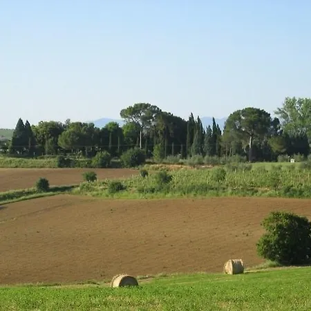 Zurli Κορτόνα